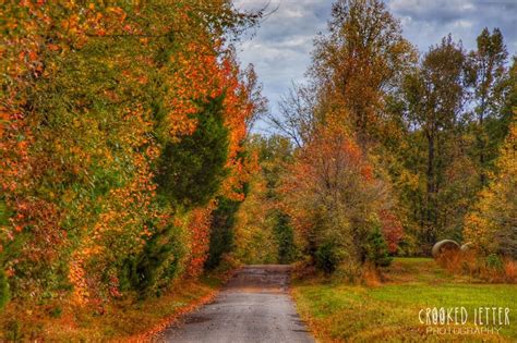 Here Are The Best Times And Places To View Fall Foliage In Mississippi