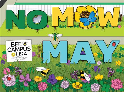 No Mow May Movement Aims To Protect Pollinators Agri Pulse