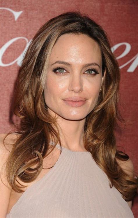 Pin By Christine Bemis On Hair Angelina Jolie Hair New Hair Hair Color Light Brown