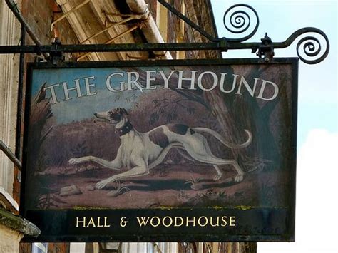 Blandford Forum Dorset Flickr Greyhound Sign Uk Pub Greyhound Art