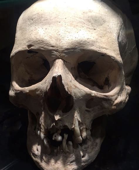 Pin By Derald Hallem On Skull Art Skull Pictures Skull