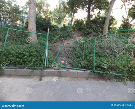 Green Wire Fence Stock Photo Image Of Fences Nature 77463450