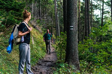hiking guide what to know before hitting a trail for the first time trip and tr erofound