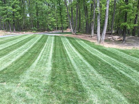 Maybe you would like to learn more about one of these? Lawn Care - A Cut Above: Landscaping in Winchester Virginia