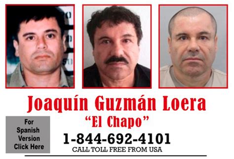 2014 yılında hapishane duşlarının bulunduğu bölgeye tünel kazdırıp firar eden el. Joaquín 'El Chapo' Guzmán Captured: First Images Of Drug Lord Being Arrested By Mexican Authorities