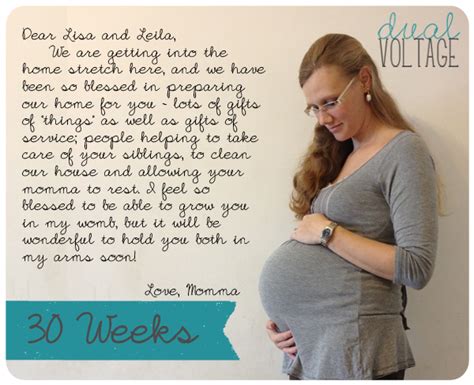 Dual Voltage The Bump 30 Weeks