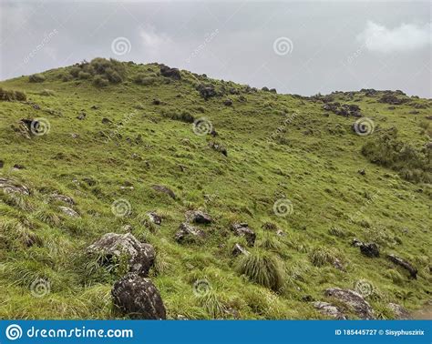 Mountain Slope And Green Meadows In Kerala Stock Image Image Of