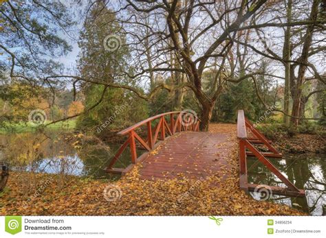 Creek And Wooden Bridge In Autumn Forest Stock Photo Image Of Fall