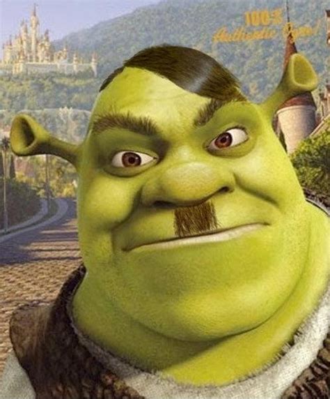 Shreks New Look Memes Imgflip
