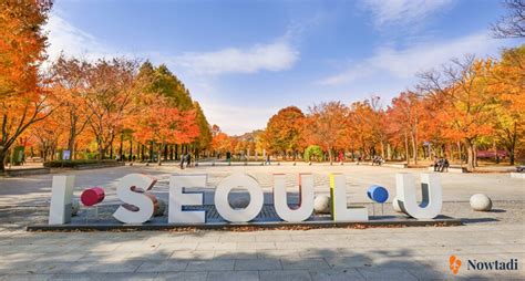 Kinh Nghiệm Du Lịch Hàn Quốc Mùa Thu Và Top 5 địa điểm Nổi Tiếng