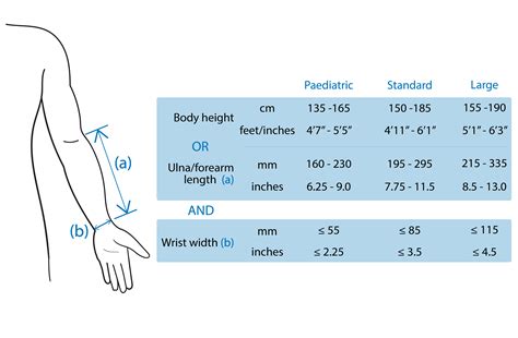 Size Guide V Upper Limb Co