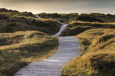 Nt Blakeney National Nature Reserve Visit East Of England