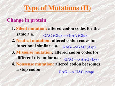 Ppt Dna Mutation And Repair Powerpoint Presentation Free Download