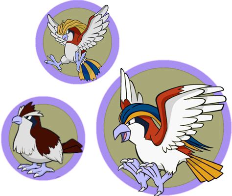 Shiny Redo Pidgeot Line By Skydraofthegoddesses On Deviantart