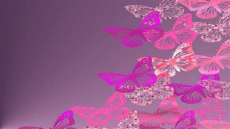 New Butterfly Wallpaper Glitter Pink Butterfly Background 2560x1440