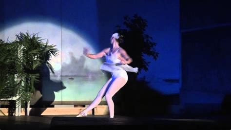 swan death ballet death at sunset youtube