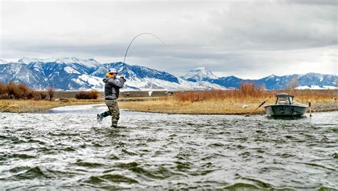 Fly Fishing In Bozeman Montana All About Fishing