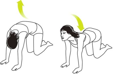 Keeping the core active come back to neutral, before repeating the cow position. 5 Exercises for a Full Body Workout in Only 15 Minutes