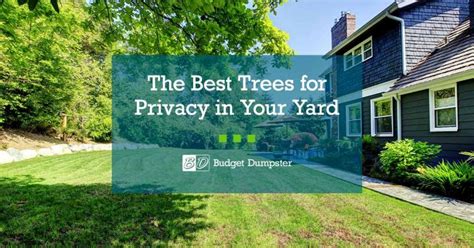 Privacy Trees Cover Fb
