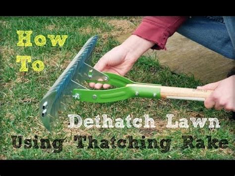 Mow the lawn a little lower than normal right. How to Dethatch Lawn Using a Thatching Rake - YouTube