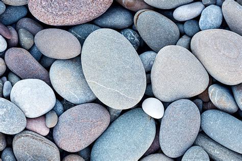 Pebble Stock Photos Pictures And Royalty Free Images Istock