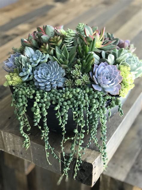 Succulents And Other Plants In A Black Pot On A Wooden Table