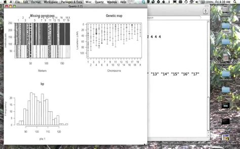Using R/qtl to analyze QTL data - YouTube