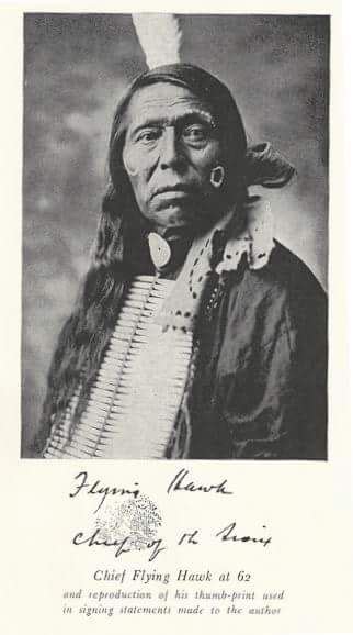 Chief Flying Hawk Native North Americans Native American Images