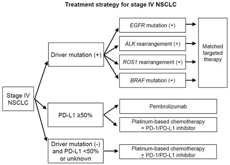 Treatment Strategy For Stage Iv Non Small Cell Lung Cancer Nsclc