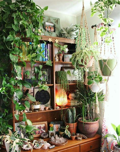 Some hanging plants do not even need soil to grow. Pin by yobita yocaam on Bohemian dreams | Plant decor ...