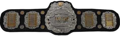Iwgp Junior Heavyweight Championship Pro Wrestling Fandom Powered
