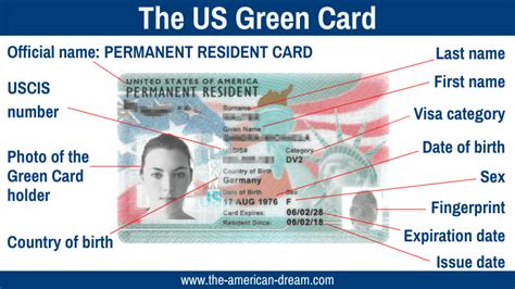 Find out if you're eligible, and get more information about living and working in the u.s. US Green Card: Information on Permanent Resident Card