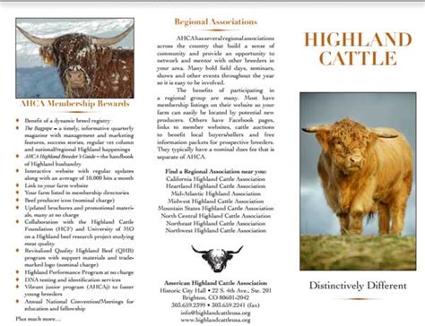 American Highland Cattle Association