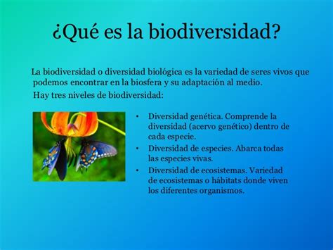 La Biodiversidad En Cuadros Sinópticos Cuadro Comparativo