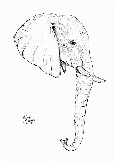 How To Draw An Elephant Easy Realistic Peepsburghcom