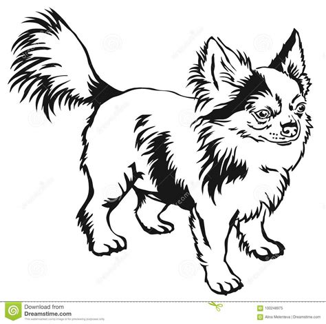 Free Free 331 Long Haired Chihuahua Svg Free SVG PNG EPS DXF File