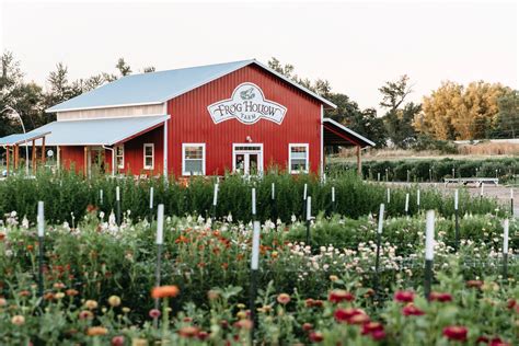 Frog Hollow Farm | Eat Local First