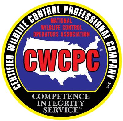 Discover the powerful termite control treatment options from new jersey's leading provider of pest services. Pest Control | Southern New Jersey | SafeGUARD Termite ...