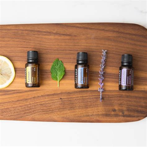 Pin On Essential Oil Uses