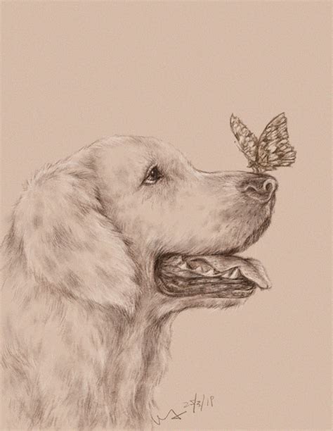 Butterfly Drawing Dogs Animals Quick Art Art Background Animales