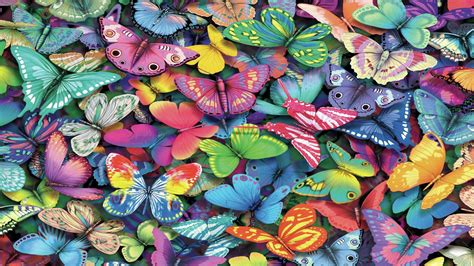 Butterfly Desktop Wallpapers Top Free Butterfly Desktop Backgrounds