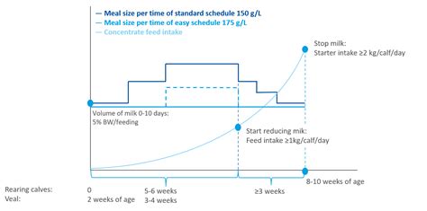 How To Choose Your Feeding Schedule Of Calf Milk Replacer Denkavit