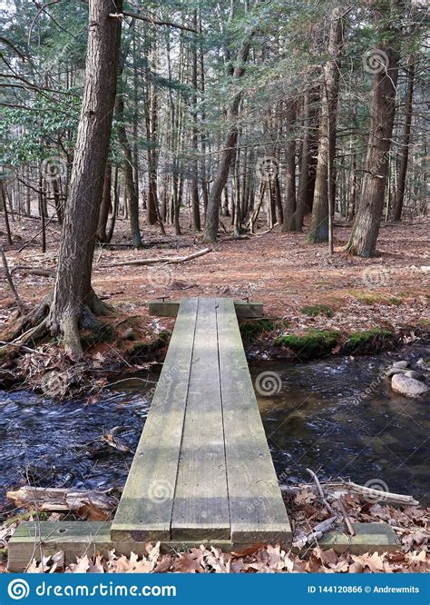 Simple Wood Plank Bridge In Forest Stock Photo Image Of Pine Hiking