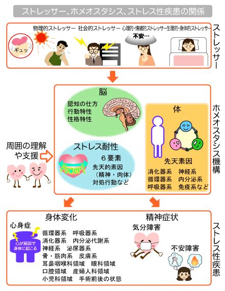 ストレスについて ー ストレス状態の兆候 ー 生活習慣病を予防する 特定非営利活動法人 日本成人病予防協会