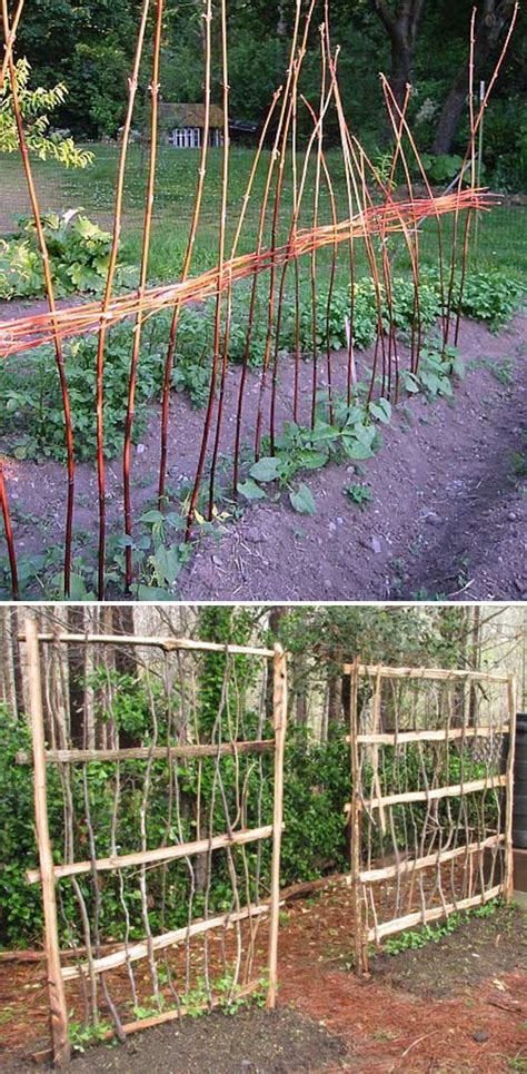 Learn how the vine spine™ garden trellis can make your vertical gardening easier with long lasting, american made quality and 5 different shapes in one trellis. 19 Successful Ways to Building DIY Trellis for Veggies and Fruits - HomeDesignInspired