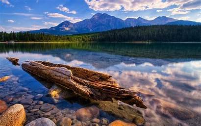 Relaxing Calm Lake Water Forest Pine Sky
