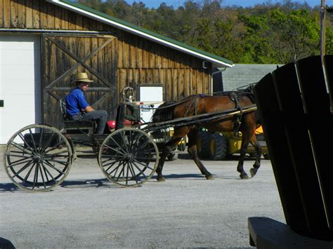 How To Visit Amish Country In Pa - Best Tourist Places in the World