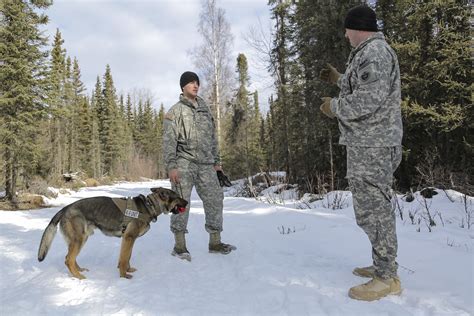Debrief Training