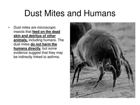 Mites using dung beetles to get to dung to feed on fly eggs and larvae. PPT - Symbiotic Relationships PowerPoint Presentation - ID ...