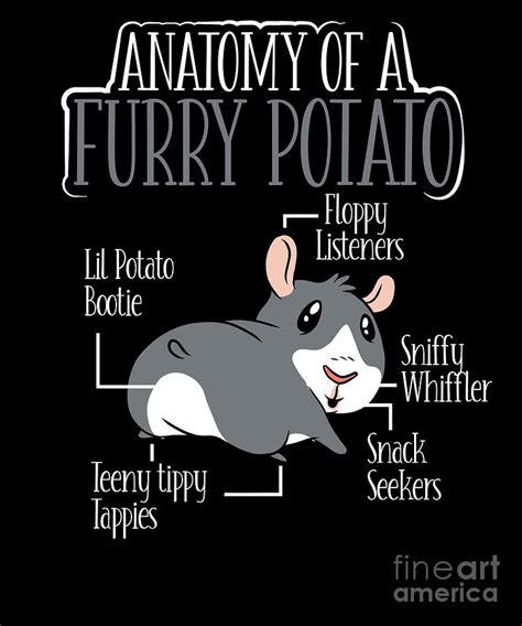 Anatomy Of A Furry Potato Funny Guinea Pig Owner Digital Art By